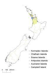 Centrolepis fascicularis distribution map based on databased records at AK, CHR and WELT.
 Image: K. Boardman © Landcare Research 2014 